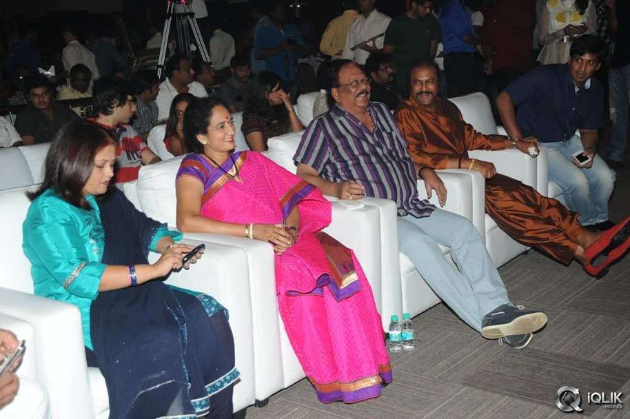 Current-Theega-Movie-Success-Meet